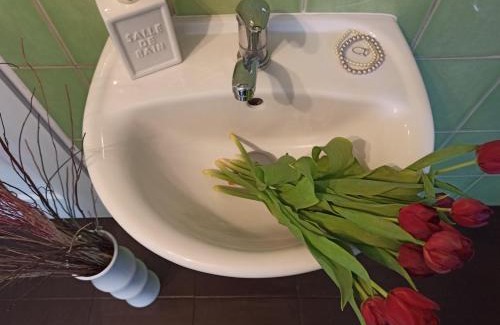 Nove Hrady Apartment | Apartmány Žiaková - ubytování Nové Hrady 111