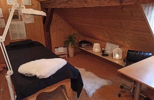 Nove Hrady Apartment | Apartmány Žiaková - ubytování Nové Hrady 111