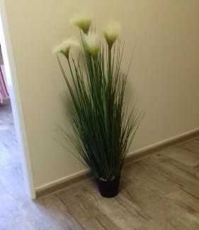 Brno-stred Apartment | Apartmány Brno