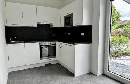 Hodkovice nad Mohelkou Apartment | Apartmány DEER House