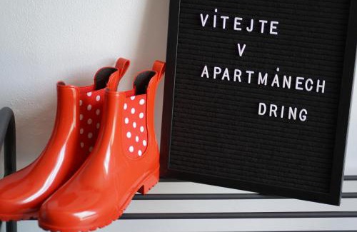 Vaclavov u Bruntalu Apartment | APARTMÁNY DRING