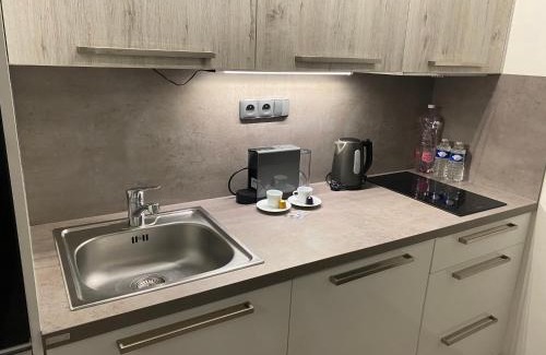 Oleska Apartment | Apartmány Krymlov