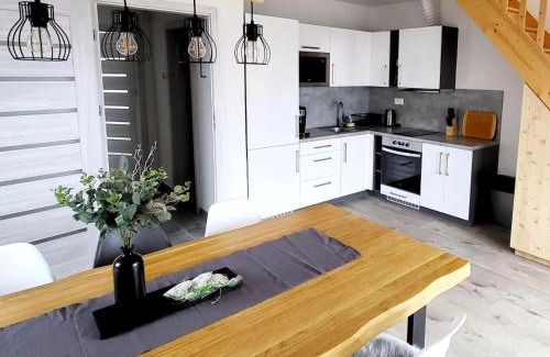 Vaclavov u Bruntalu Apartment | Apartmány Louka