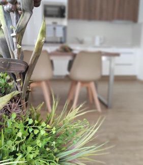 Paseka Apartment | Apartmány Na Vyhlídce