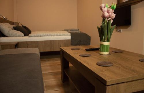 Velka Hledsebe Apartment | Apartmány Pilot