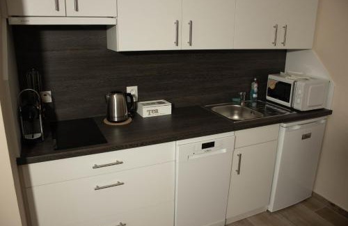 Velka Hledsebe Apartment | Apartmány Pilot