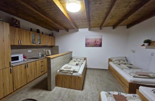 Boretice Apartment | Apartmány pod pergolou