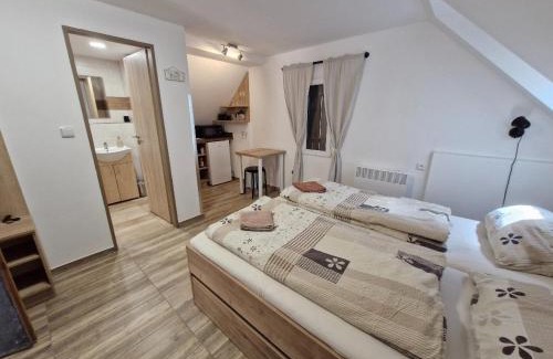 Boretice Apartment | Apartmány pod pergolou