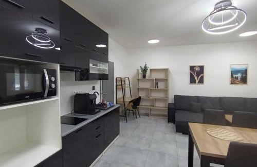 Golcuv Jenikov Apartment | Apartmány Sebastian