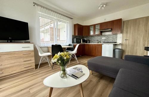 Vaclavov u Bruntalu Apartment | Apartmány Smrkový vrch