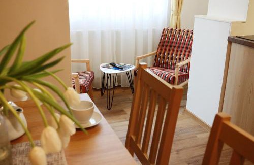 Jachymov Apartment | Apartmány Tatra