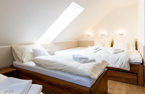 Vaclavov u Bruntalu Cabin | Apartmány Tlustý svišť