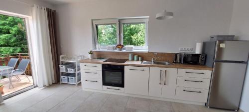 Karlovy Dvory Apartment | Apartmány U Špilínků-lipensko