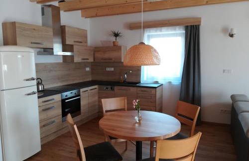 Roznov Pod Radhostem Apartment | Apartmány U Holubů