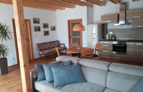 Roznov Pod Radhostem Apartment | Apartmány U Holubů