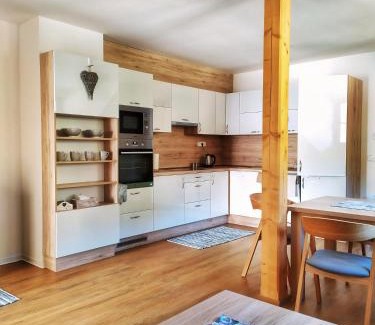 Velke Karlovice Apartment | Apartmány u Ivanky, Polanský dvůr 1149
