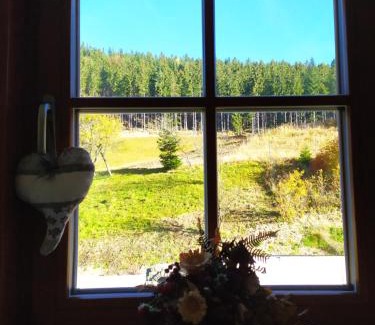 Velke Karlovice Apartment | Apartmány u Ivanky, Polanský dvůr 1149