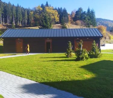 Velke Karlovice Apartment | Apartmány u Ivanky, Polanský dvůr 1149