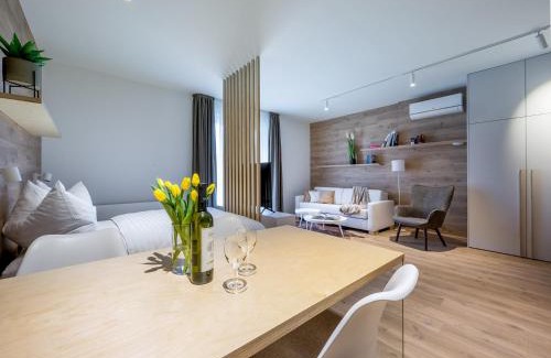 Dolni Morava Apartment | Apartmány u Lesa