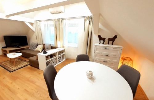 Lazne Kynzvart Apartment | Apartmány v centru - Lázně Kynžvart