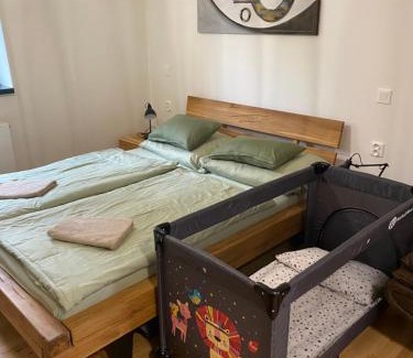 Svinna Apartment | Apartmány v Javorné na Šumavě