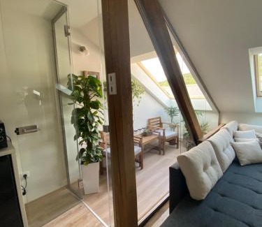 Jesenik Apartment | Apartmány & Wellness Revenite