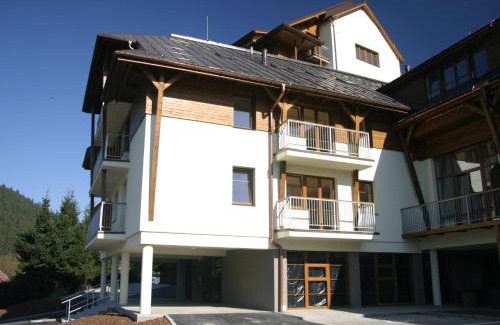 Velke Karlovice Apartment | Apartmína