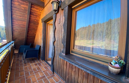 Bad Rippoldsau-Schapbach Apartment | Apartment '2' with Mountain View, Shared Garden and Wi-Fi