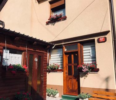 Zaga Apartment | Apartma Evi