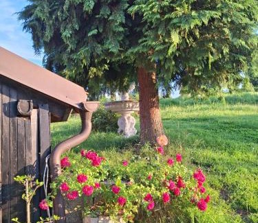 Spodnja Polskava Apartment | Apartma Grlica