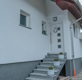 Zirovnica Apartment | APARTMA LAMBERGER