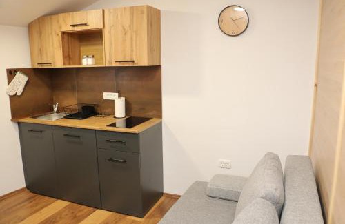 Podgorje Apartment | Apartma Lukovi 4