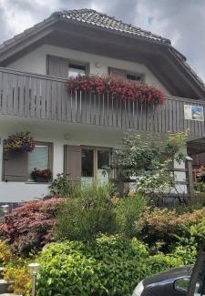 Ribcev Laz House | Apartma - Počitniška hiša Lodi