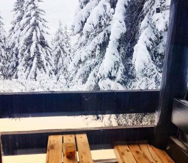 Zrece Apartment | Apartma Rogla Gaber 63