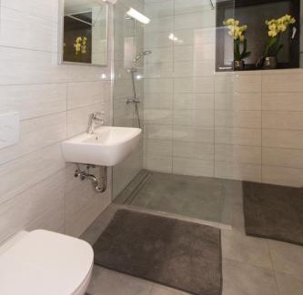 Radovljica Apartment | Apartma Spaans