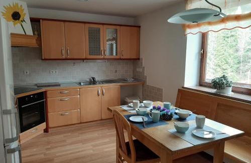 Gorenja vas-Poljane Apartment | Apartma Teloh