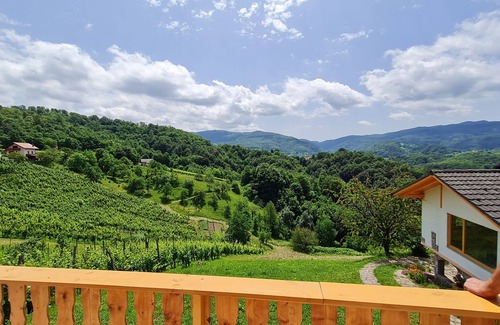 Cerklje ob Krki Apartment | Apartma Vid with a wonderful view.