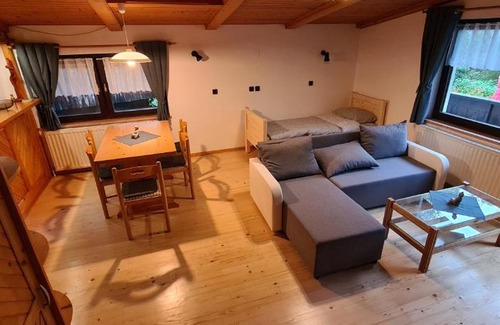 Gozd Martuljek Apartment | Apartma Vidic