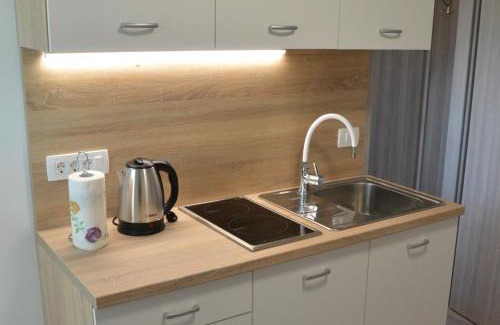 Cerknica Apartment | Apartma Vila Zigmund