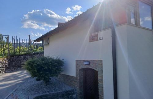 Dolenjske Toplice Apartment | Apartma Zidanca Bele