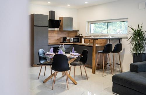 Tisina Apartment | Apartmaji Živa