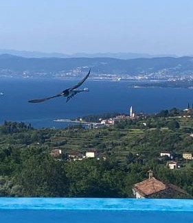 Izola Apartment | Apartmaji Meli Pu