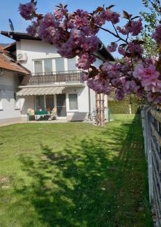 Trzic House | Apartmaji Mojca
