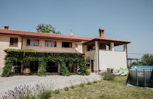 Gazon Apartment | Apartmaji Pajer