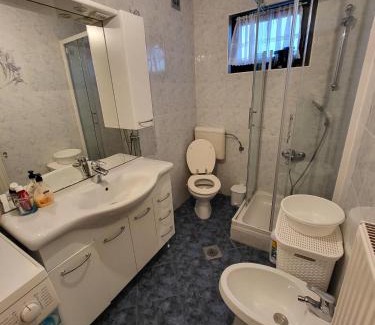Ljubljana Apartment | Apartmaji Peric