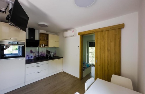 Tolmin Apartment | APARTMAJI SILVA