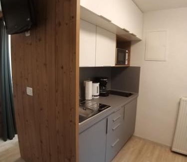 Studor Apartment | Apartmaji Taler
