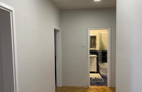 South Backa District Apartment | Apartman Čelarevo centar