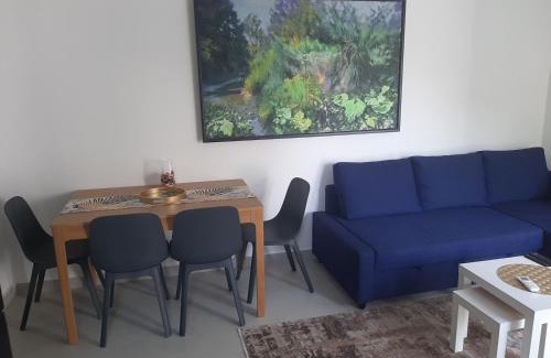 Banja Koviljaca Apartment | Apartman Đorđe