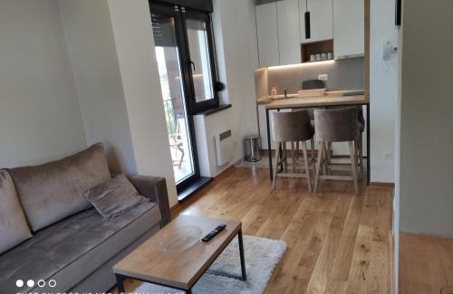 Zlatibor Apartment | Apartman 23 Titova vila